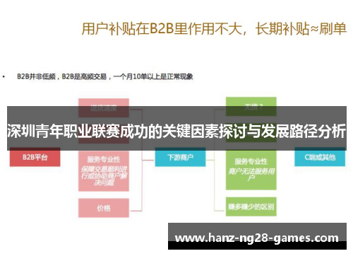 深圳青年职业联赛成功的关键因素探讨与发展路径分析